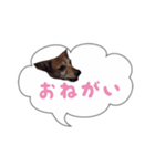 Doggy Jr 2（個別スタンプ：1）