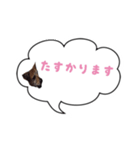 Doggy Jr 2（個別スタンプ：4）
