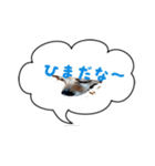 Doggy Jr 2（個別スタンプ：6）