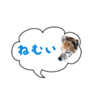 Doggy Jr 2（個別スタンプ：7）