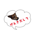 Doggy Jr 2（個別スタンプ：8）