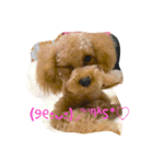 トイプーのひな（個別スタンプ：7）