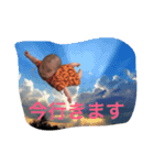 花坊主(4.0)（個別スタンプ：1）