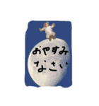 花坊主(4.0)（個別スタンプ：13）