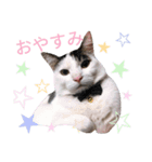 西岡まるまる（個別スタンプ：7）