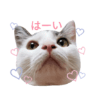 西岡まるまる（個別スタンプ：8）