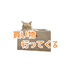 にゃんこずスタンプ（個別スタンプ：9）