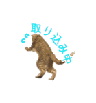 にゃんこずスタンプ（個別スタンプ：10）