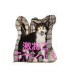 ねこやまさんと仲間たち（個別スタンプ：2）