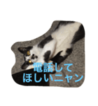 ねこやまさんと仲間たち（個別スタンプ：4）