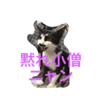 ねこやまさんと仲間たち（個別スタンプ：8）