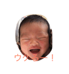 こころこはる（個別スタンプ：3）