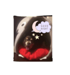 レジーナとロア①（個別スタンプ：3）