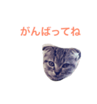 しゃるる（個別スタンプ：8）