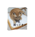 ゆずとみかん（個別スタンプ：5）