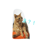 ゆずとみかん（個別スタンプ：8）