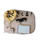 マルと虎。（個別スタンプ：7）