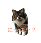 あきらスタンプ2（個別スタンプ：7）