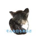 あきらスタンプ2（個別スタンプ：13）