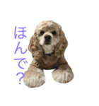めいりあん。（個別スタンプ：6）