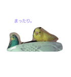 小さな世界何気ない日常。（個別スタンプ：2）