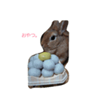 小さな世界何気ない日常。（個別スタンプ：6）