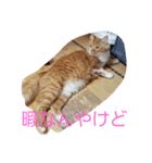 ちくわ(猫)（個別スタンプ：3）