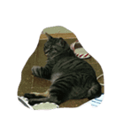 猫（個別スタンプ：7）