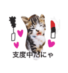 愉快なにゃんこぷー＆てぃむ（個別スタンプ：11）