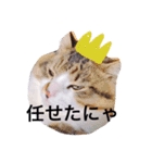 愉快なにゃんこぷー＆てぃむ（個別スタンプ：15）