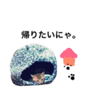 愉快なにゃんこぷー＆てぃむ（個別スタンプ：25）
