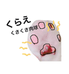愉快なにゃんこぷー＆てぃむ（個別スタンプ：29）
