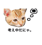 愉快なにゃんこぷー＆てぃむ（個別スタンプ：31）