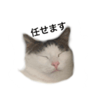 フネさんスタンプ（個別スタンプ：3）