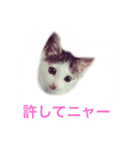 フネさんスタンプ（個別スタンプ：5）
