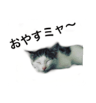 フネさんスタンプ（個別スタンプ：7）