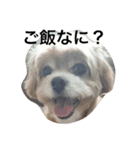 らぼさん（個別スタンプ：6）