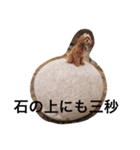 らぼさん（個別スタンプ：9）