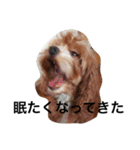 らぼさん（個別スタンプ：13）