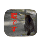 かわいい動物.えのき（個別スタンプ：7）