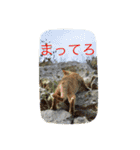 かわいい動物.えのき（個別スタンプ：8）