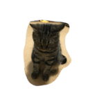 ねこのはるさん（個別スタンプ：2）