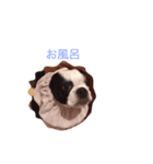 ほのぼのテツ（個別スタンプ：2）