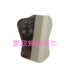 4わんズのハッピーライフ（個別スタンプ：1）