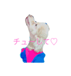 4わんズのハッピーライフ（個別スタンプ：2）