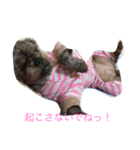 4わんズのハッピーライフ（個別スタンプ：7）