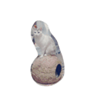 どらしい（個別スタンプ：10）