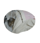 これでも寝てます（個別スタンプ：21）