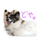 ゆる〜い犬（個別スタンプ：7）