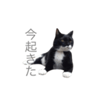 きろくのすたんぷ（個別スタンプ：6）